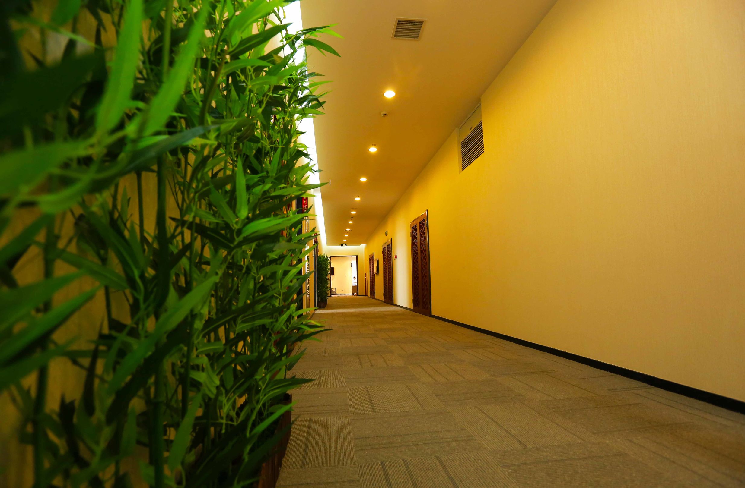 306医院健康查体怎么预约,306医院官方网站