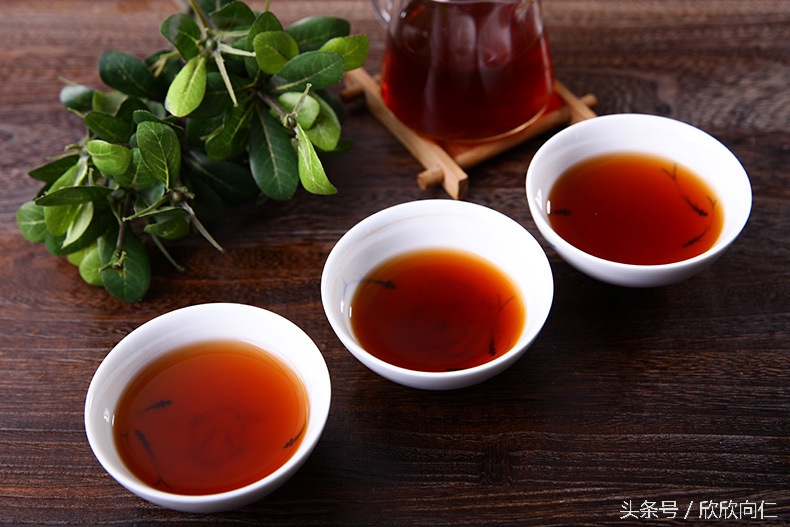普洱茶30秒入门,普洱茶直播入门知识