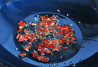 第一美食阿飞韭菜炒河虾,第一美食韭菜炒河虾做法