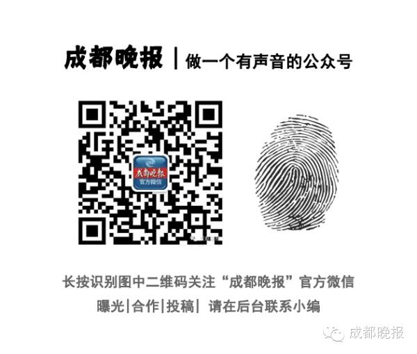 成都地铁3号线盼达号报站,成都地铁盼达号主题列车