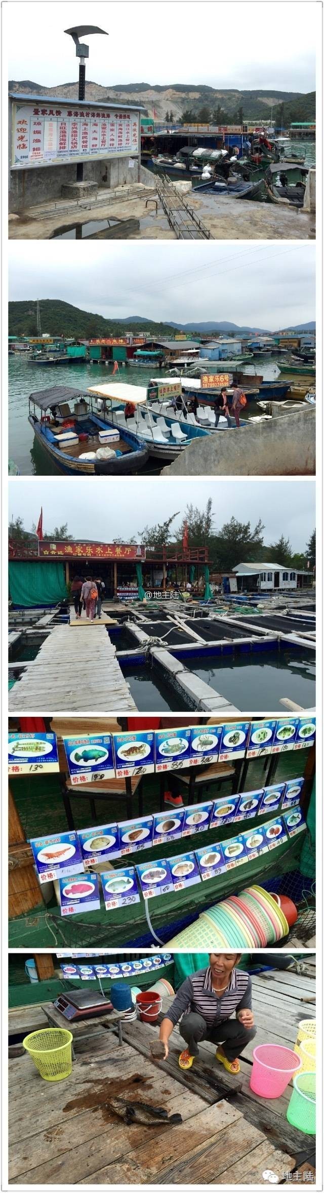 海南吃鸡视频大全集,海南吃鸡游戏大全