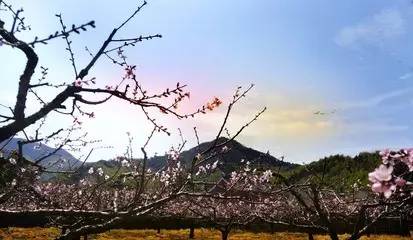 宁波最不好的区是哪个,宁波最落后的三个区