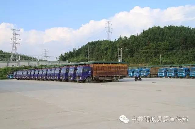 圣农发展龙头,圣农集团带动光泽经济