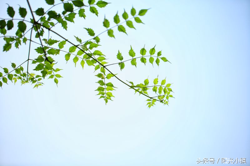 深度解析女人心里她需要什么,怎么才懂女人了解女人