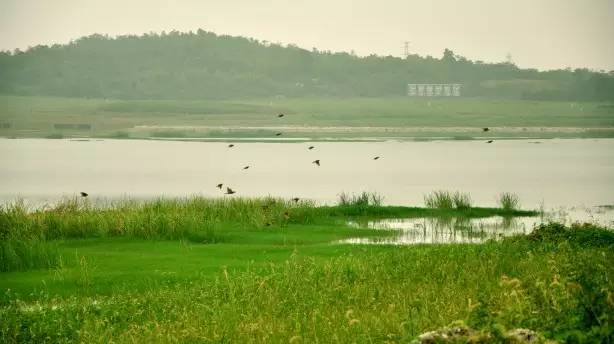 最新长沙旅游推荐,去长沙旅游必去的景点有哪些