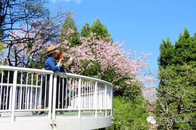 工艺精湛建筑雕塑作品欣赏,箱根雕塑之森美术馆