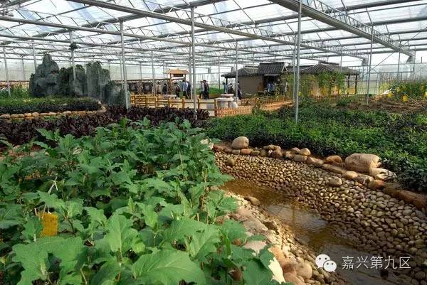 宁波出发高铁4-5小时能到哪里,宁波出发坐高铁三日游推荐