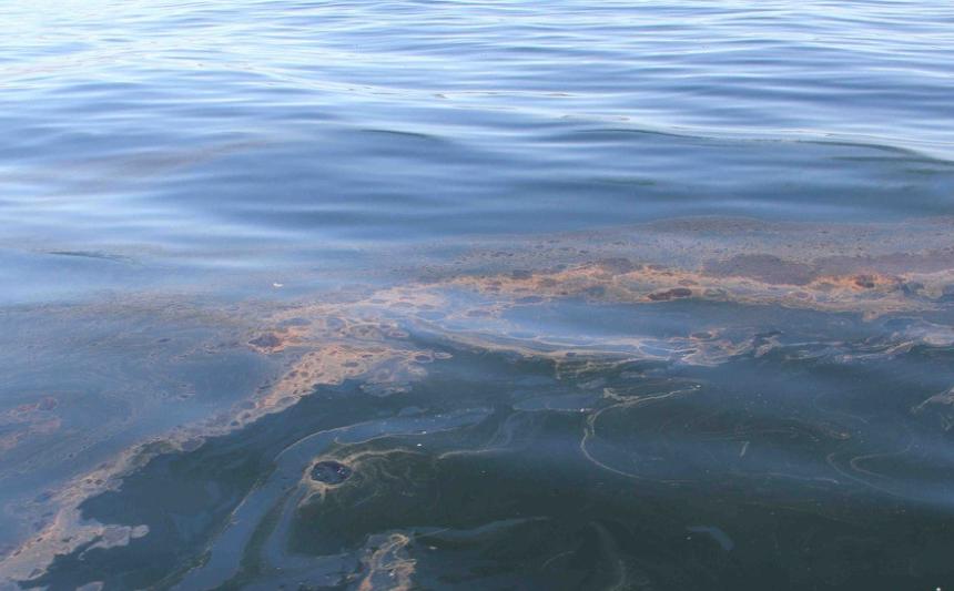 此刻拥有的就是最好的 (其实拥有的就是最好的)