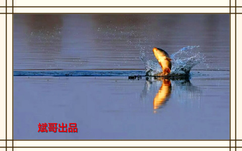 早起的鸟儿有虫吃动画,早起的鸟儿有虫吃故事