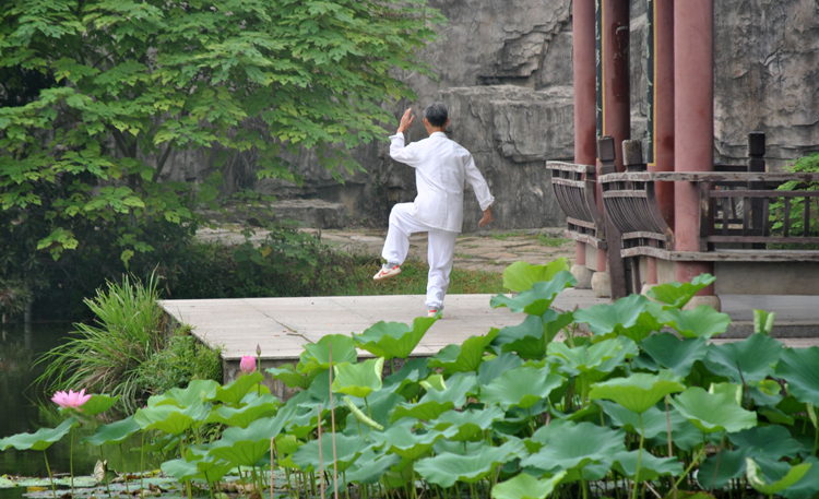 九阳神功和九阴真经内功心法口诀,太极内家三劲拳