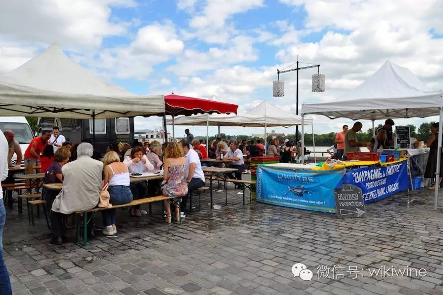 新手喝葡萄酒怎么喝,新手葡萄酒知识培训