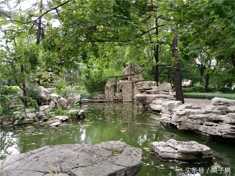 乐2pro现在还可以干什么,乐2pro手机怎么设置不卡