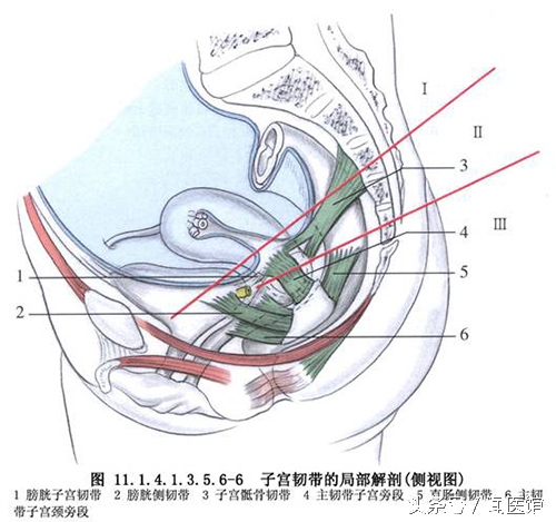 卵巢囊肿1.7厘米严重吗,卵巢囊肿手术后的真实经历