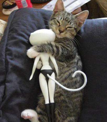 按住喵星人的这个位置，它就不会动了！你知道吗？！