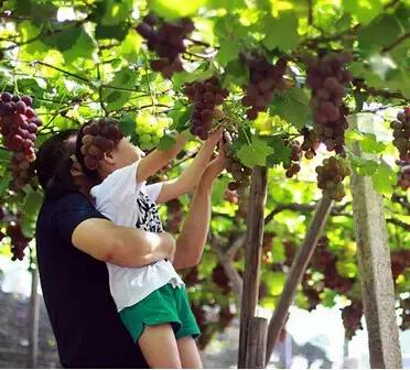 长沙农家乐钓鱼,长沙周边农家乐户外野炊烧烤攻略