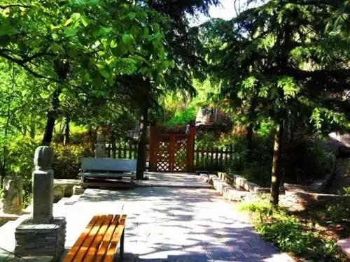 西安周边特色度假山庄可以爬山,西安周边值得去的度假村