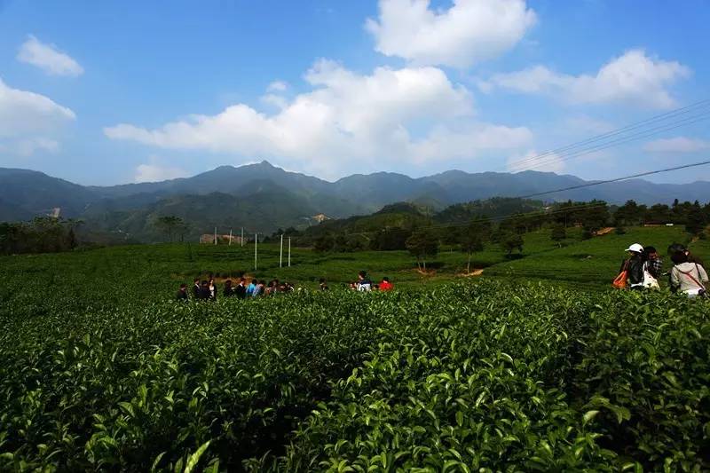 感觉身体被掏空,感觉身体被掏空需要充电