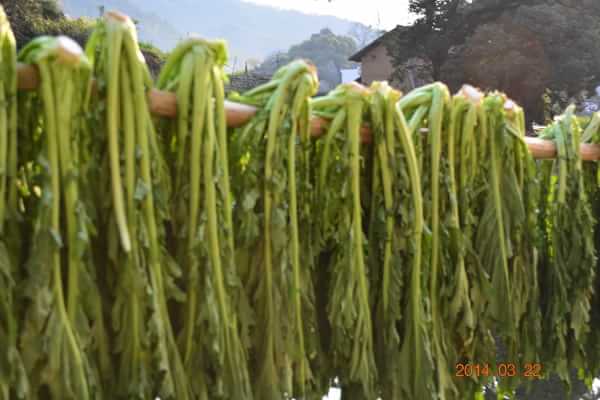 稻草人旅行有什么特色,稻草人旅行沙漠