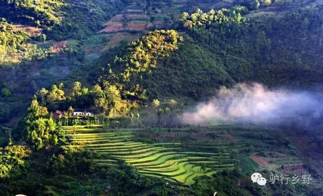 琛屾憚姹変腑,琛屾憚闄曡タ