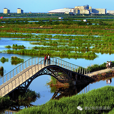 滨海湿地,曹妃甸湿地文化旅游度假区