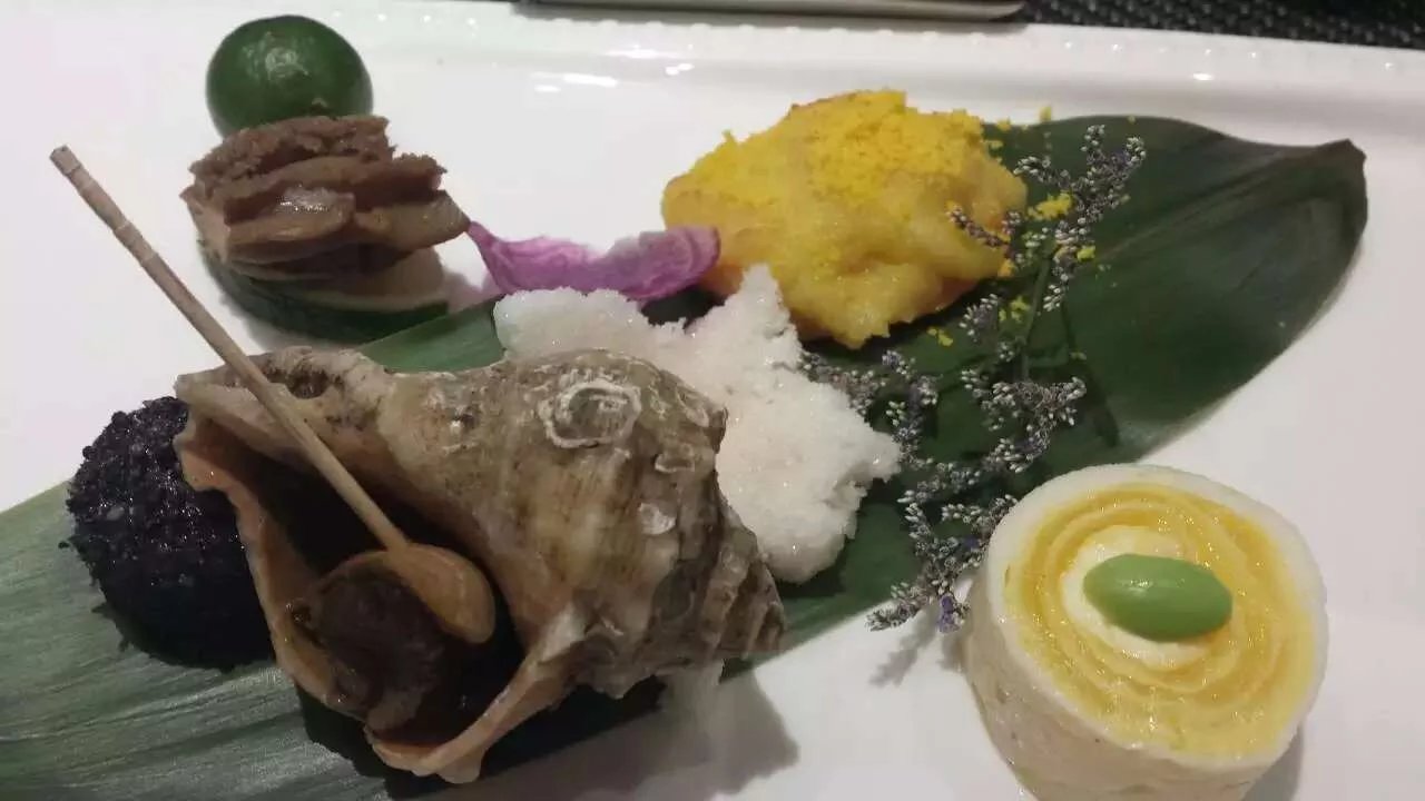 樱花屋金a区,樱花屋