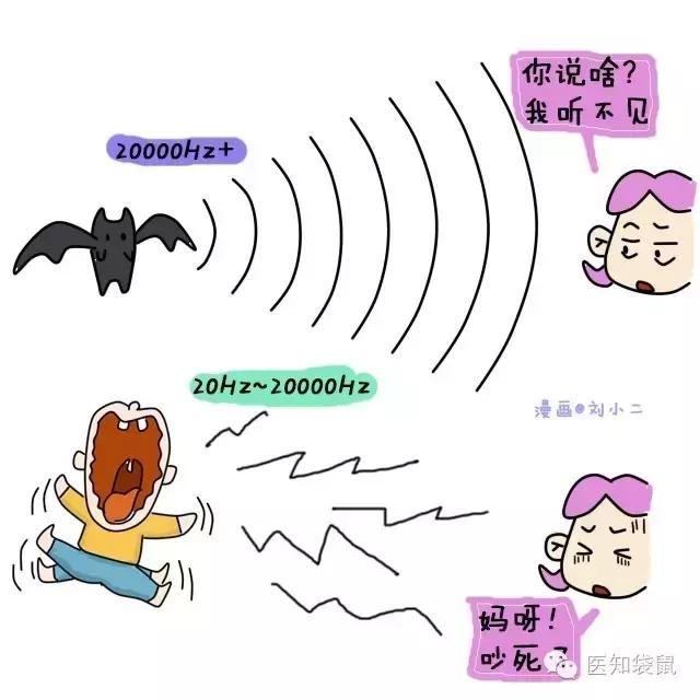 普通b超和肾b超检查范围一样吗,B超三维彩超区别