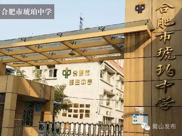 蜀山区规划新建小学,合肥蜀山经开区哪所小学最好