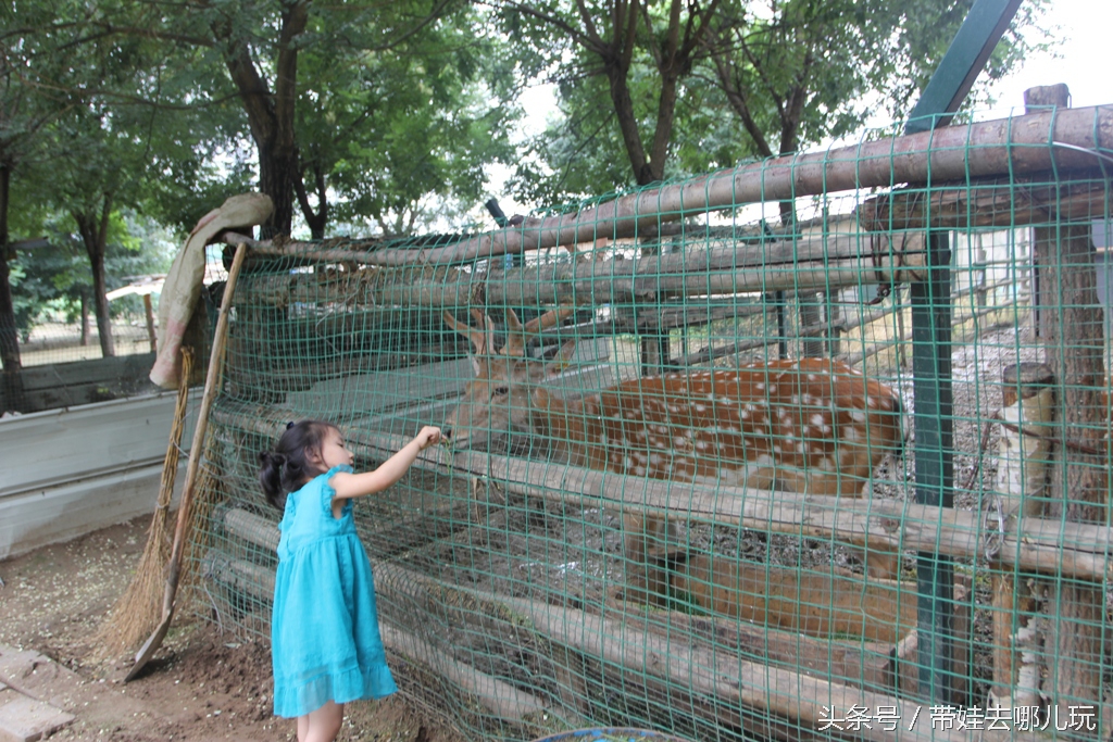 昌平拉斐特城堡,北京昌平拉斐特城堡风光