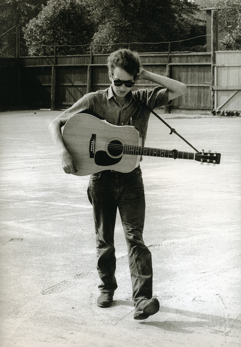 雅马哈吉他拾音器使用详解图,shadow吉他拾音器说明