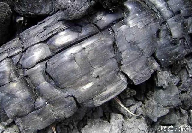 木炭对猪功效,木炭在养兔中有什么作用