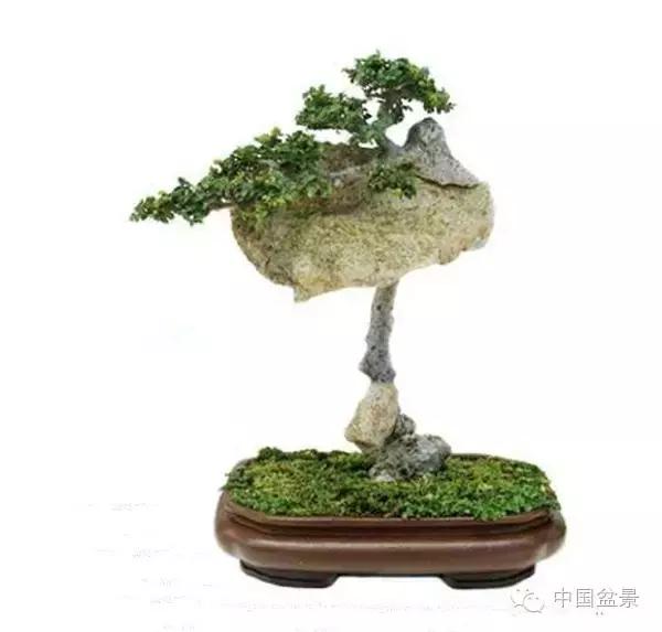 相识满天下知己有几人谁说的,相识满天下知己无一人出处