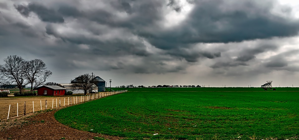 我愿终生为你守候,我愿一生陪着你