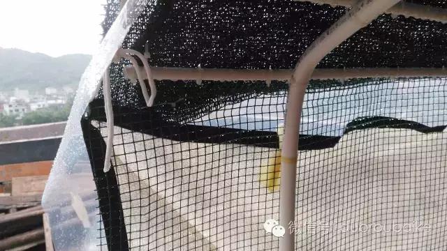 多肉挡雨遮阳布,伸缩挡雨架多肉