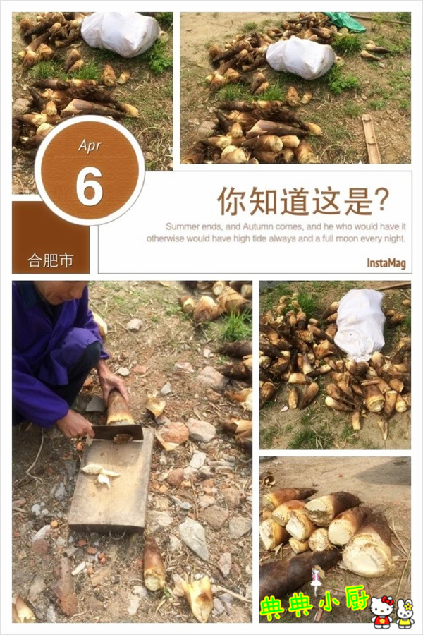 新鲜的小竹笋拿来怎么炒好吃,竹笋烧肉最好吃的做法