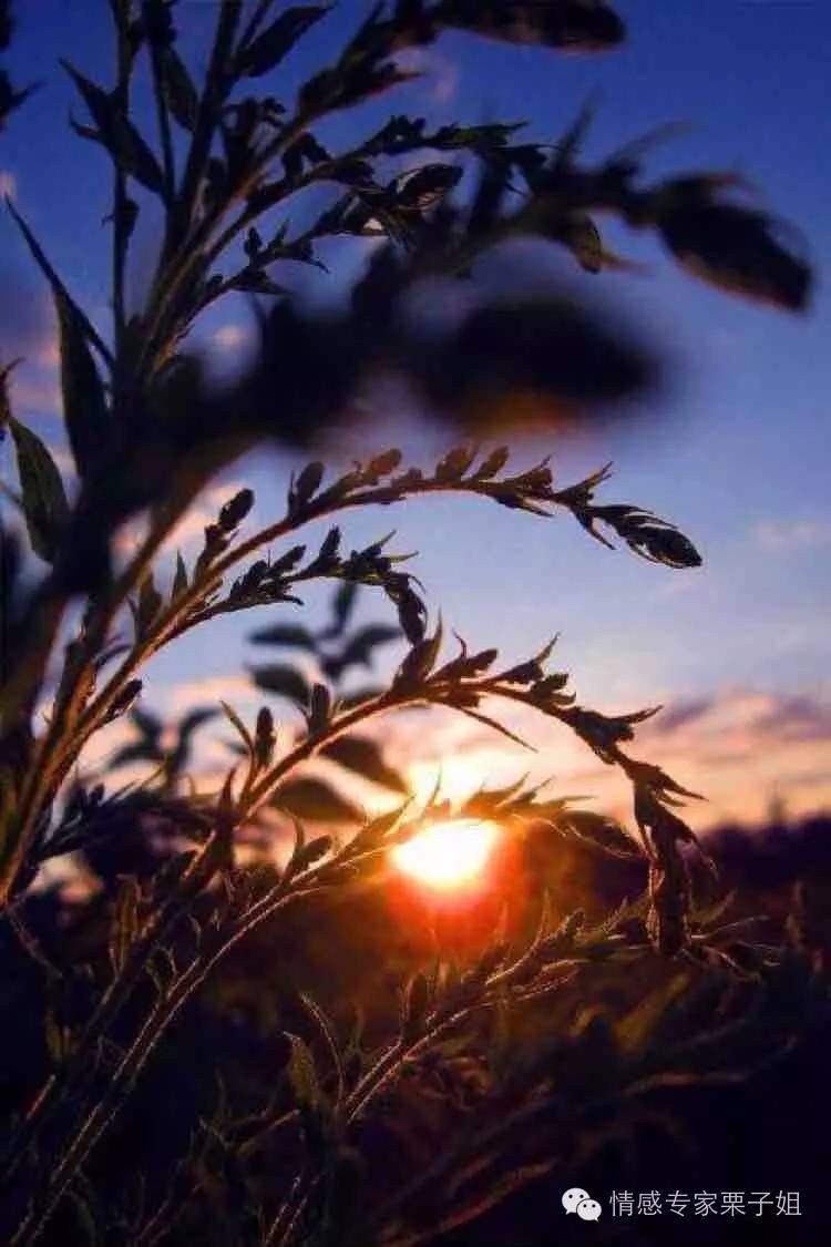 老公给女网友打小红包，充话费，女网友就发*处私**照片给他，怎么办