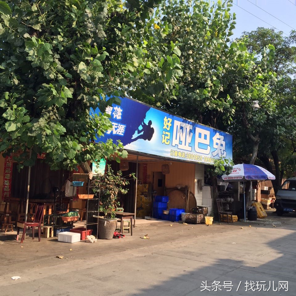 贵圈太乱出处,贵圈太乱还会出现什么