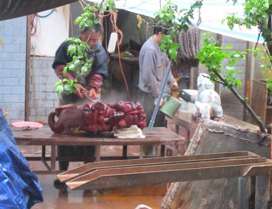 以假乱真蚌埠仿古玉,以假乱真的玉雕翡翠