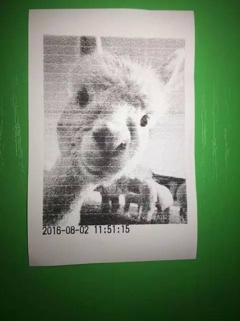 拍立得相纸彩色,相机拍立得相纸