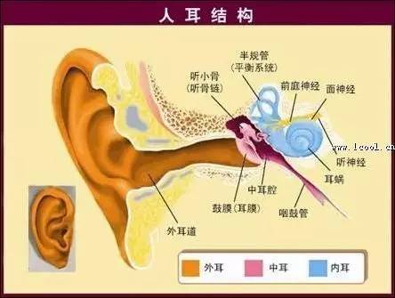 鼻子进水引起中耳炎的症状,鼻外伤引起的脑脊液耳漏的处理