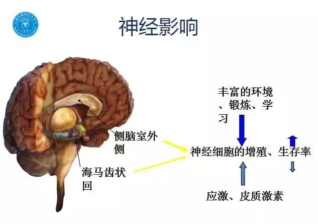 如何非药物治疗失眠？苏亮医师有妙招