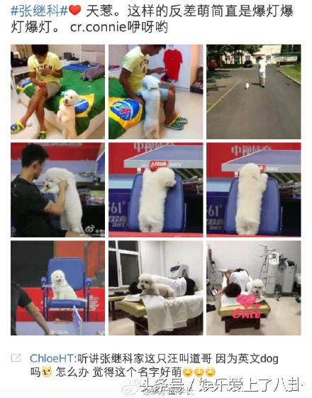 张继科肖战鹿晗,鹿晗张继科