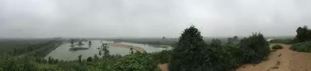 南乐西邵荷花池,南乐县西邵乡荷花池