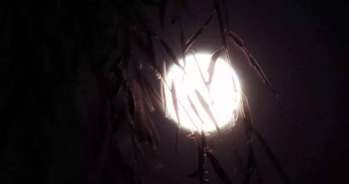 望月诗词鉴赏,秋夜诗词欣赏