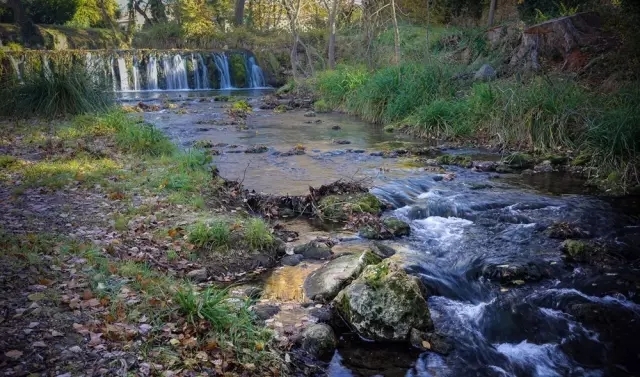 就算吃土也要投资自己,就算吃土也要买车