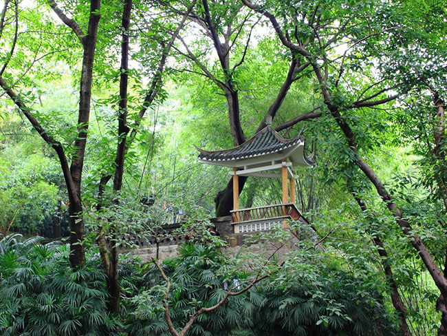 重庆鹅岭公园的介绍,重庆鹅岭公园有什么好玩的