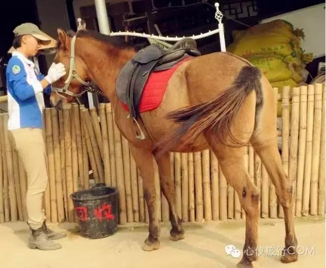 南宁周边十大农家乐,南宁周边摘果农家乐