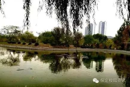 保定夏季“9所”最美大学校园