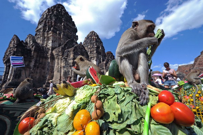泰国猴子节图片大全,泰国猴子节起源