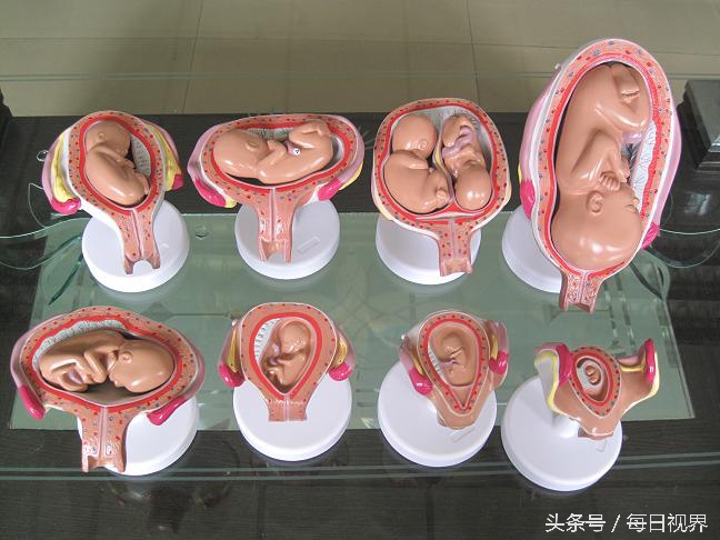 15个症状提醒你怀孕了,怀孕5个月胎膜早破的症状