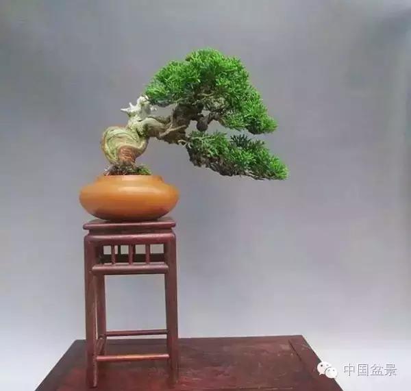 相识满天下知己有几人谁说的,相识满天下知己无一人出处